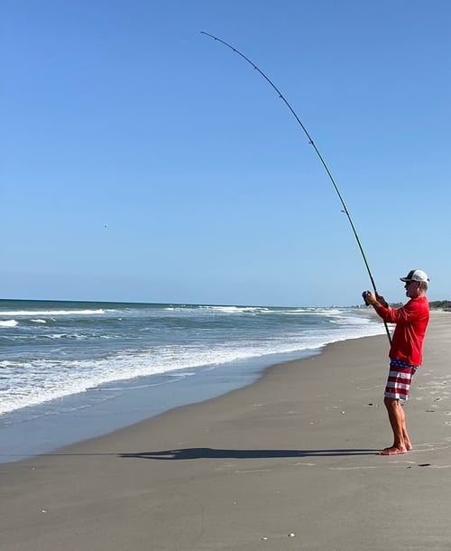 Four Hour Guided Fishing Trip 