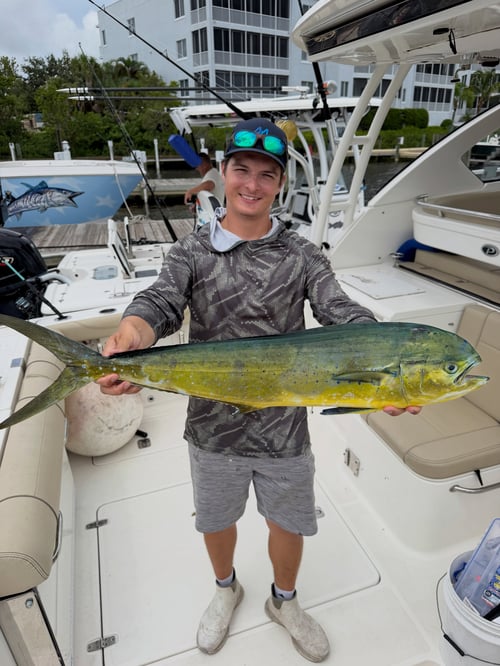Stuart Offshore Fishing