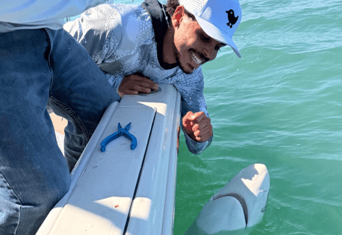 Big Game Shark Fishing
