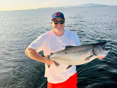 Salmon Fishing Trip