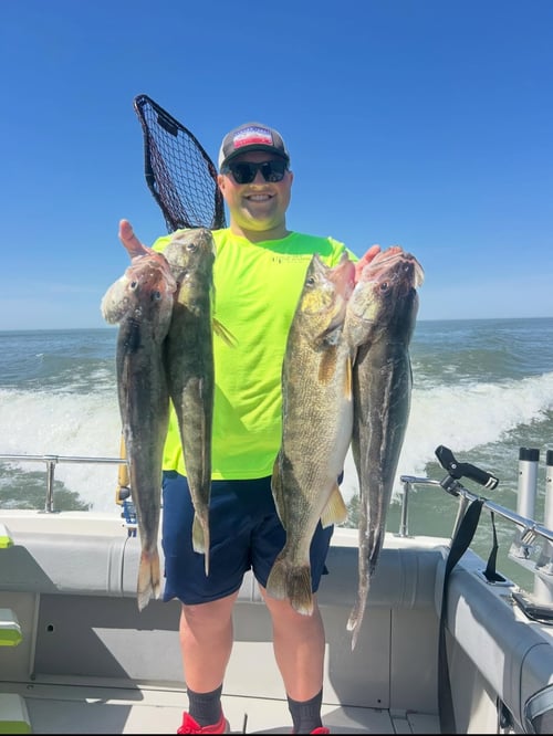 Sunset Cruise Fishing Trip