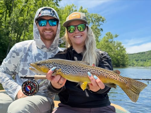 Trout Fly Fishing Trip