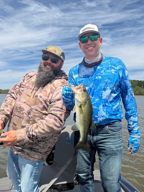 Toledo Bend & Sam Rayburn Fishing