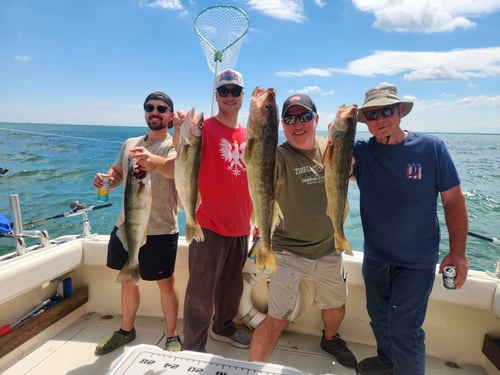 Lake Erie Walleye