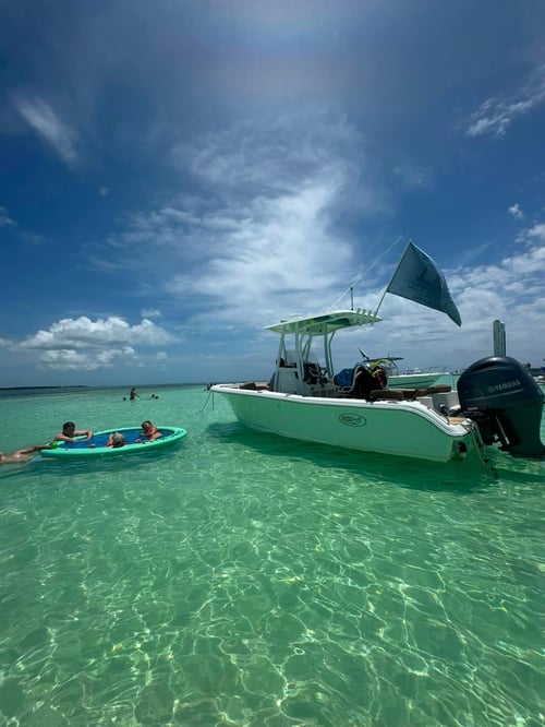 Snorkeling Adventure