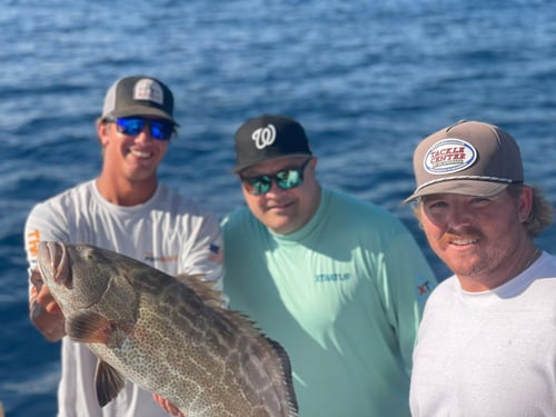 Nearshore & Reef Fishing Trip