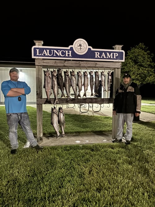 Half Day Trip – Salmon