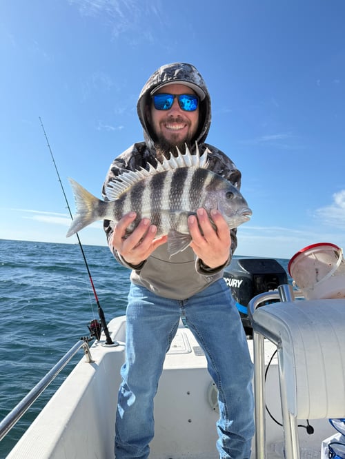 Sheepshead Shenanigans 