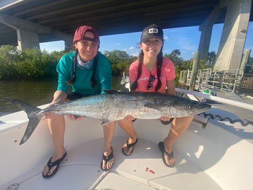 4 Hour Nearshore/Offshore 
