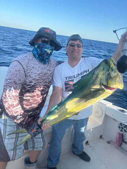 Offshore Fishing Trip