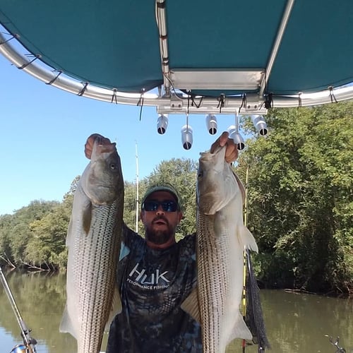 Striped Bass Trip