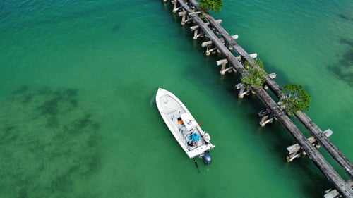 Boca Grande Tarpon