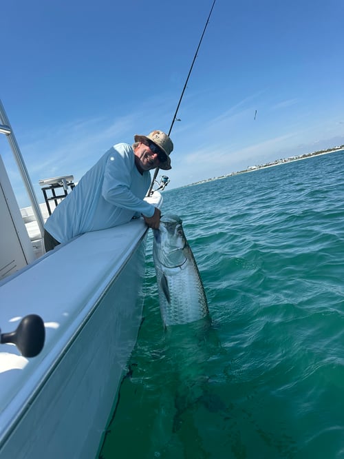 Tarpon Fishing 