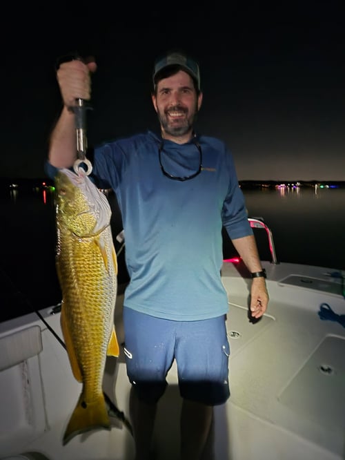 Orange Beach Night Fishing
