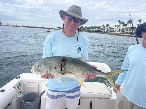 Palm Beach Reef & Wreck Fishing