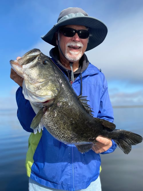 Bass Fishing Trip