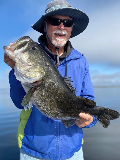 Bass Fishing Trip