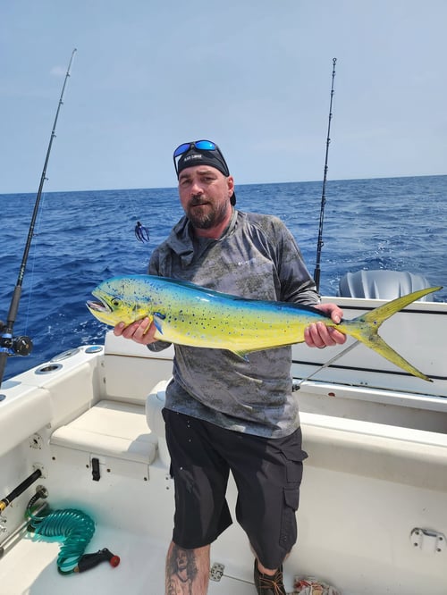Offshore Trolling And Bottom