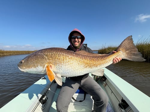 Louisiana Fly Fishing Charter