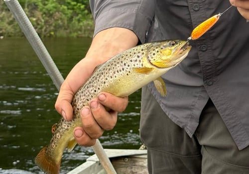 Lake & Pond Trolling