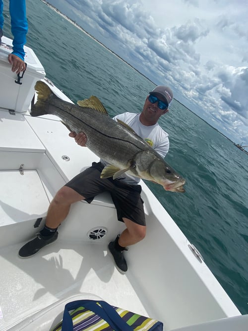 Inshore Trip Ponce Inlet, FL