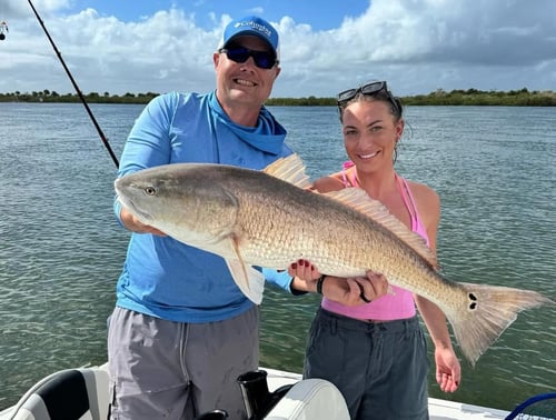 4 Hour-Inshore Fishing 