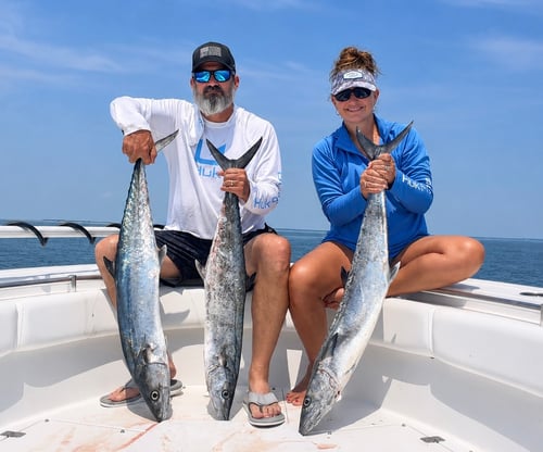 6 Hour Offshore Bottom/Trolling