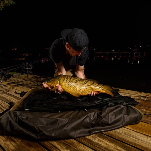 Carp On The Fly - Austin, TX