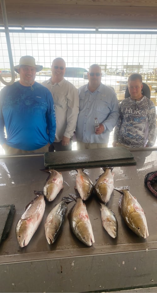 Half Day or Full Day Inshore