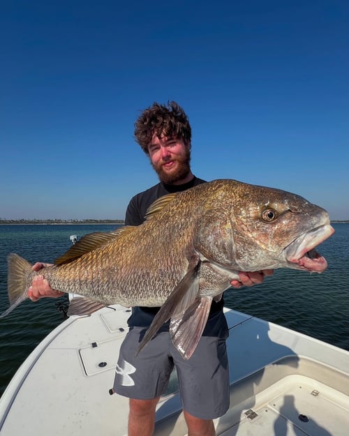 Panama City Inshore Action