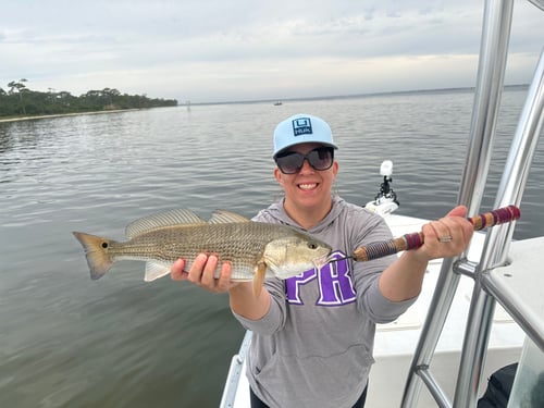 Spring/Summer Inshore Fishing