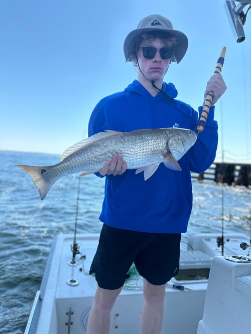 Spring/Summer Inshore Fishing
