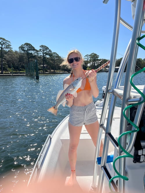 Spring/Summer Inshore Fishing