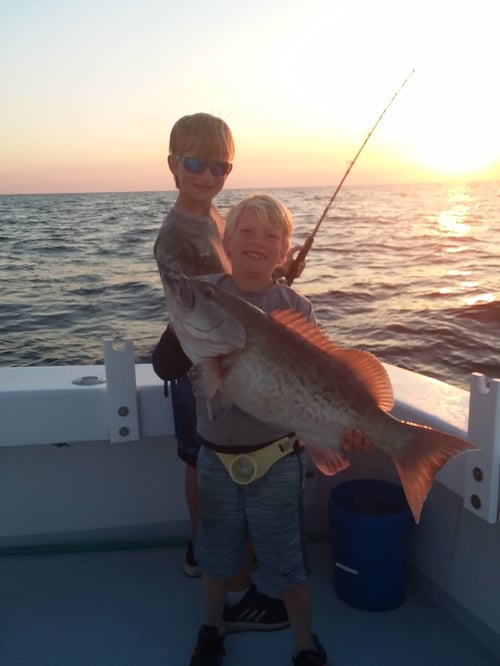 Destin Deep Dive: 8-10 Hour