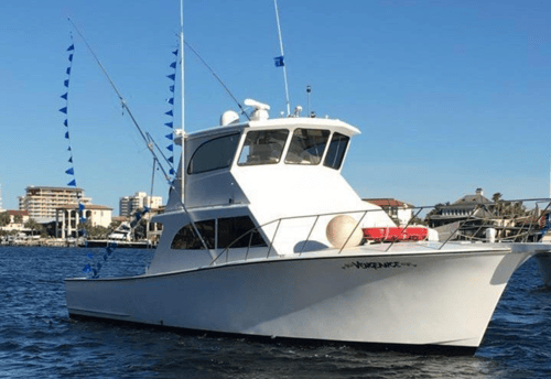 Offshore Sea Monsters