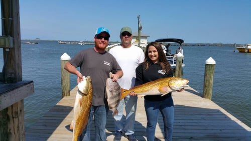 Alabama Reds and More