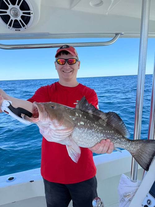 Fishing & Shell Island