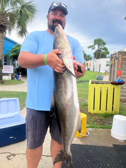 PCB Reefs and Trolling