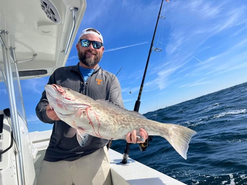 PCB Reefs and Trolling