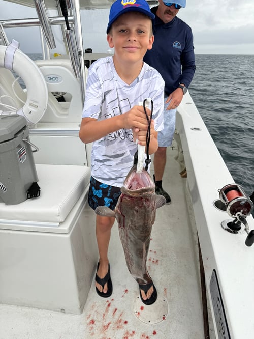 PCB Reefs and Trolling