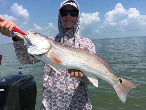 Baffin Bay Shallows