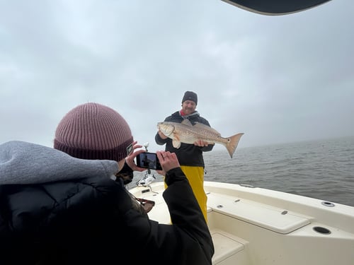 Redfish Fishing in Boothville-Venice, Louisiana