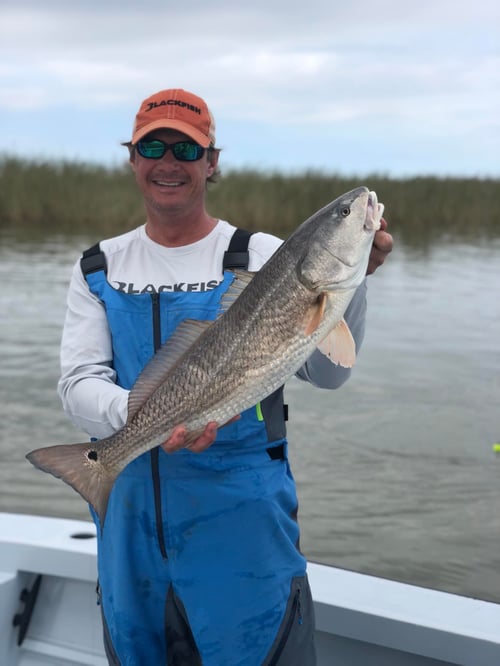 Full Day Inshore - 24' Gravois