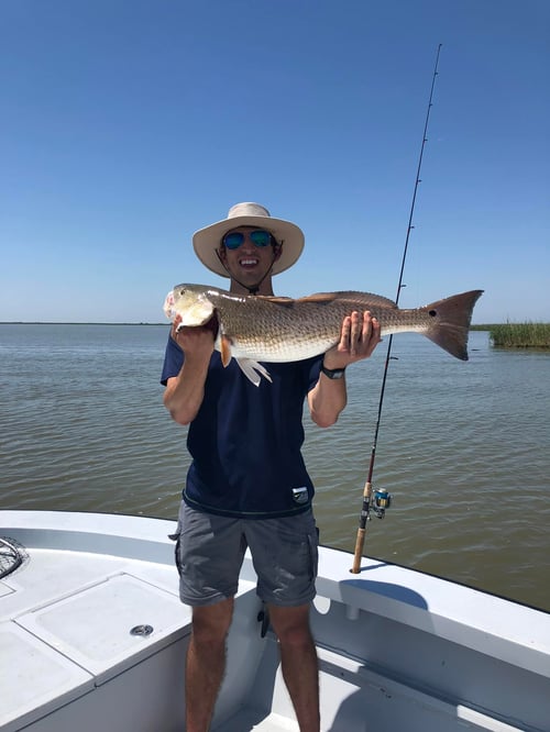 Full Day Inshore - 24' Gravois