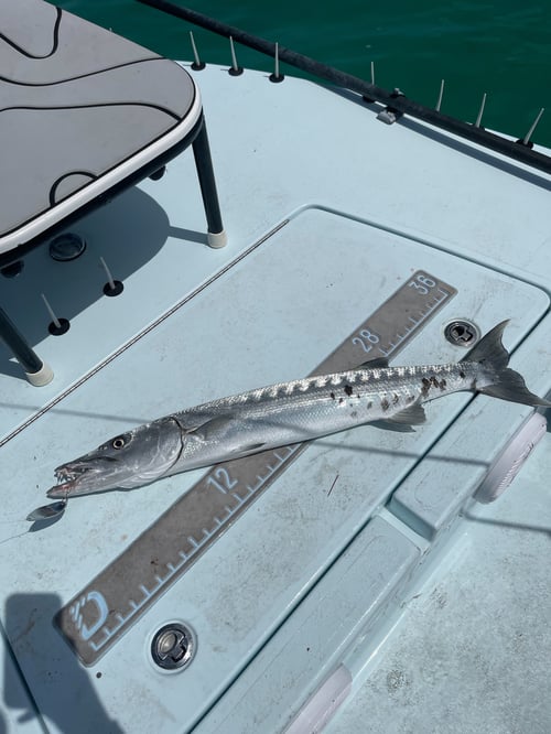 Inshore Trip - 18’ Xplor Flats Boat