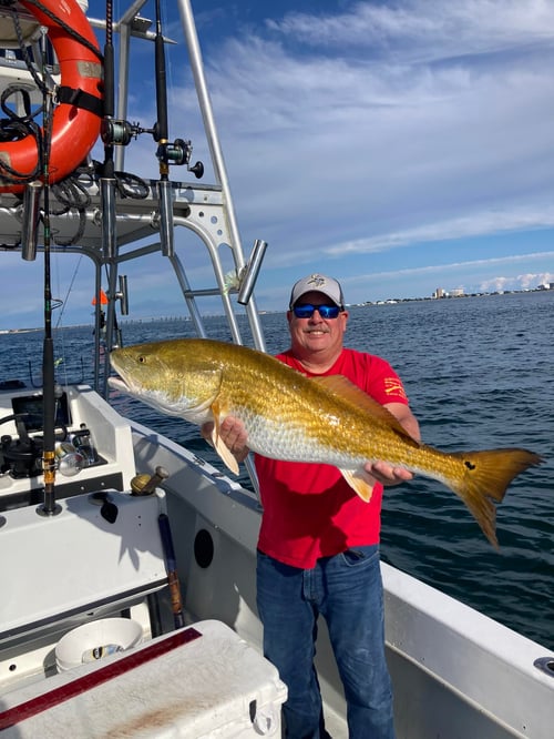6 hr offshore