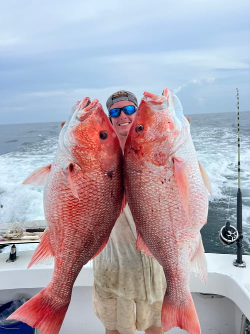 Red Snapper Fishing in Orange Beach, Alabama