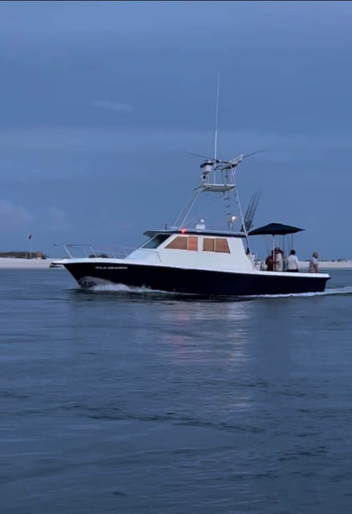 4 Hour Trolling - 38' Custom