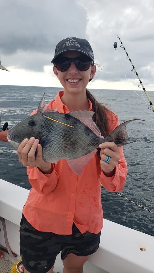 8 -12 Hour Combo - 36’ Topaz