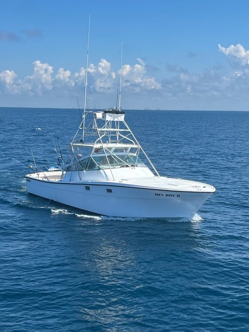 8 -12 Hour Combo - 36’ Topaz